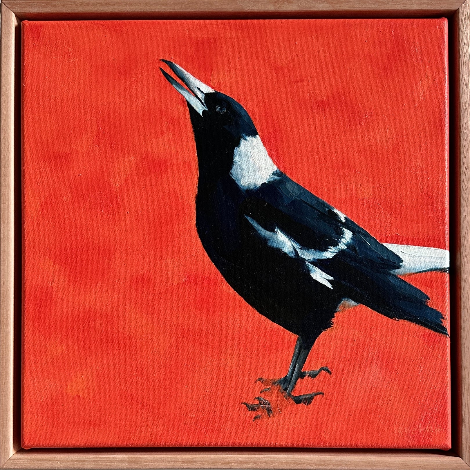 australian magpie original oil painting with a textured orange background