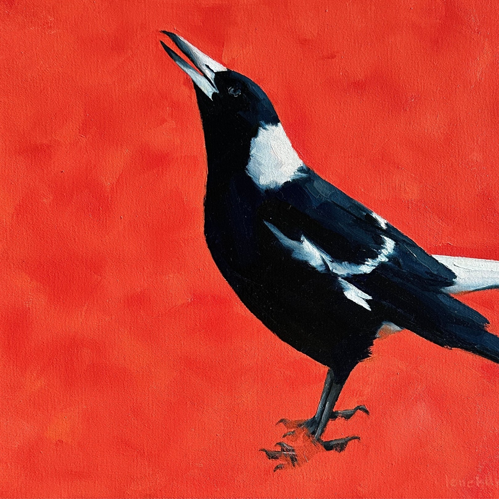 australian magpie original oil painting with a textured orange background