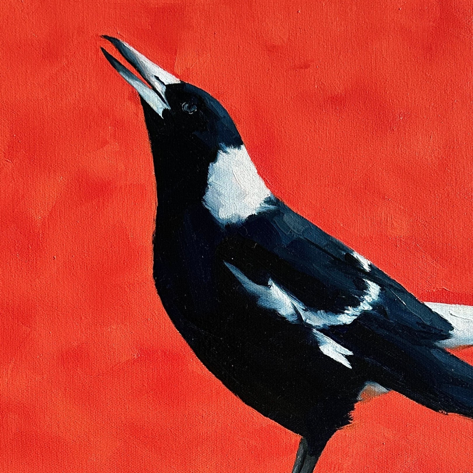 australian magpie original oil painting with a textured orange background