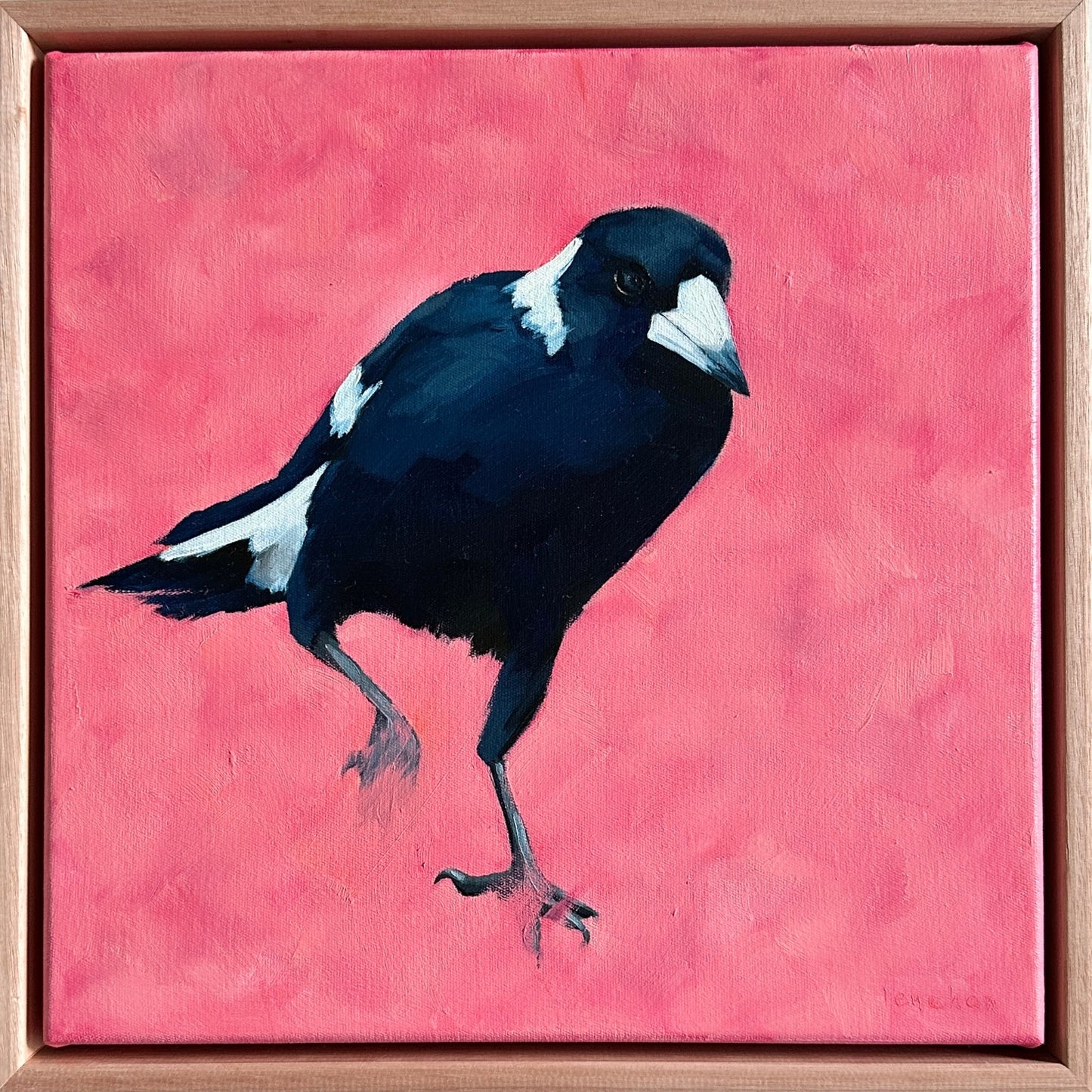 magpie original oil artwork with a pink textured background