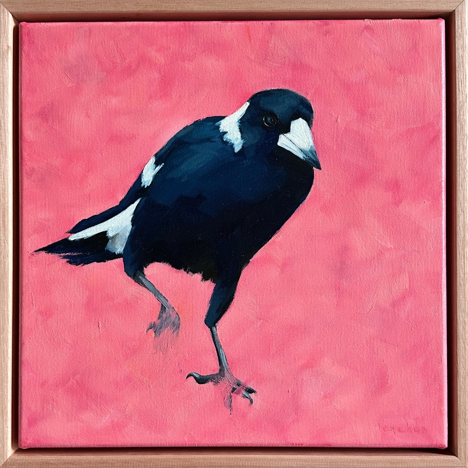 magpie original oil artwork with a pink textured background