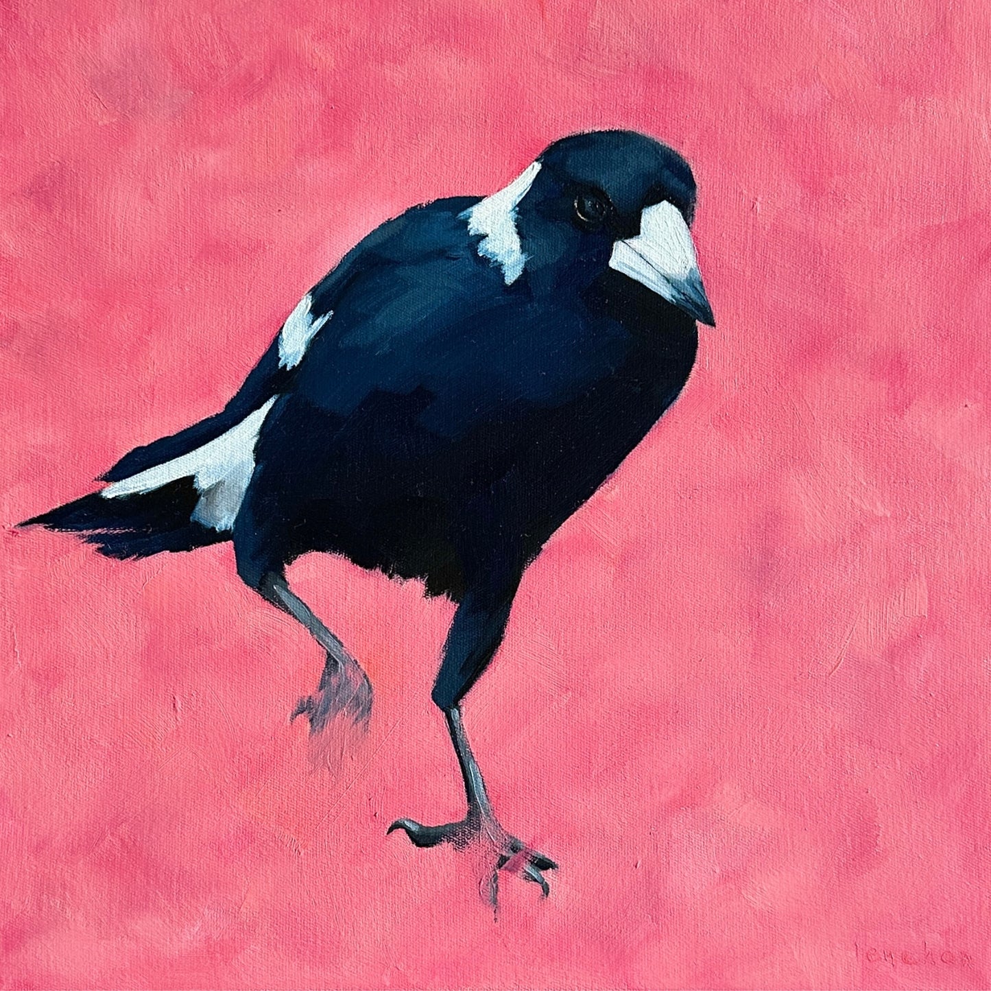 magpie original oil artwork with a pink textured background