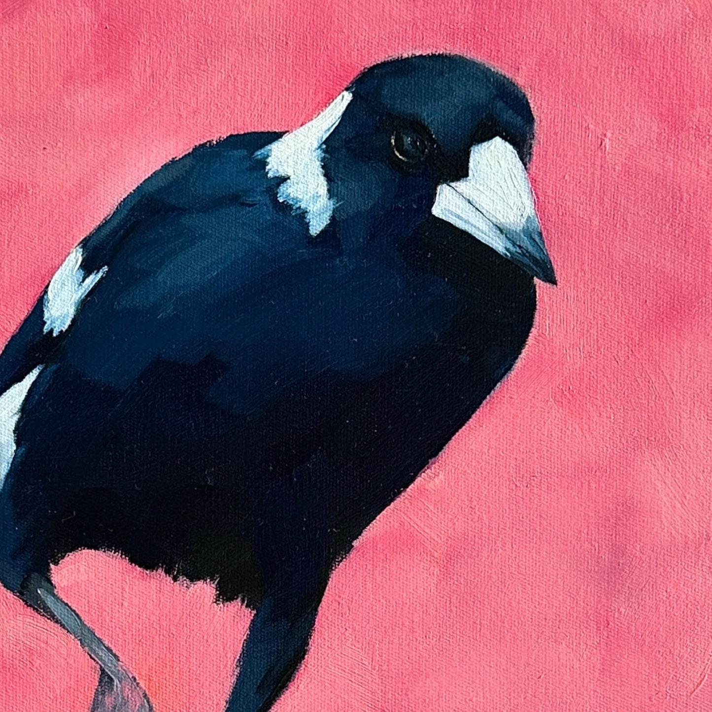 A painting of an Australian magpie in profile, featuring glossy blue-black feathers, white cheek patches, and a white beak, set against a vibrant pink background.