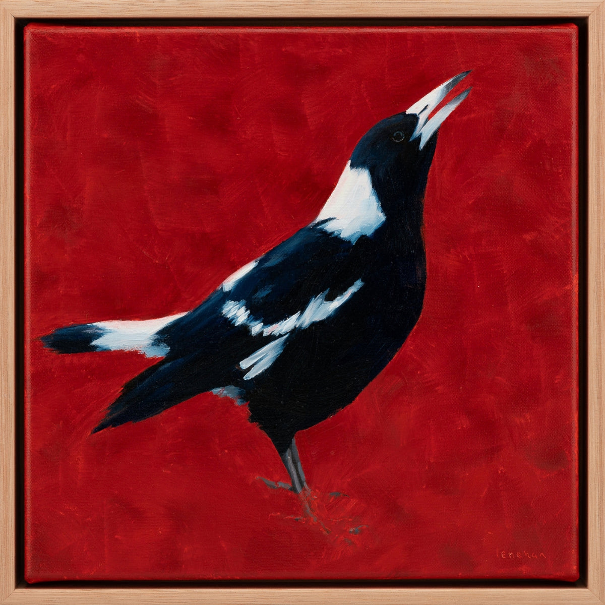 A close-up painted Australian magpie bird with a dark navy blue body, white neck and eye-ring, and white-tipped beak against a vivid red textured background.