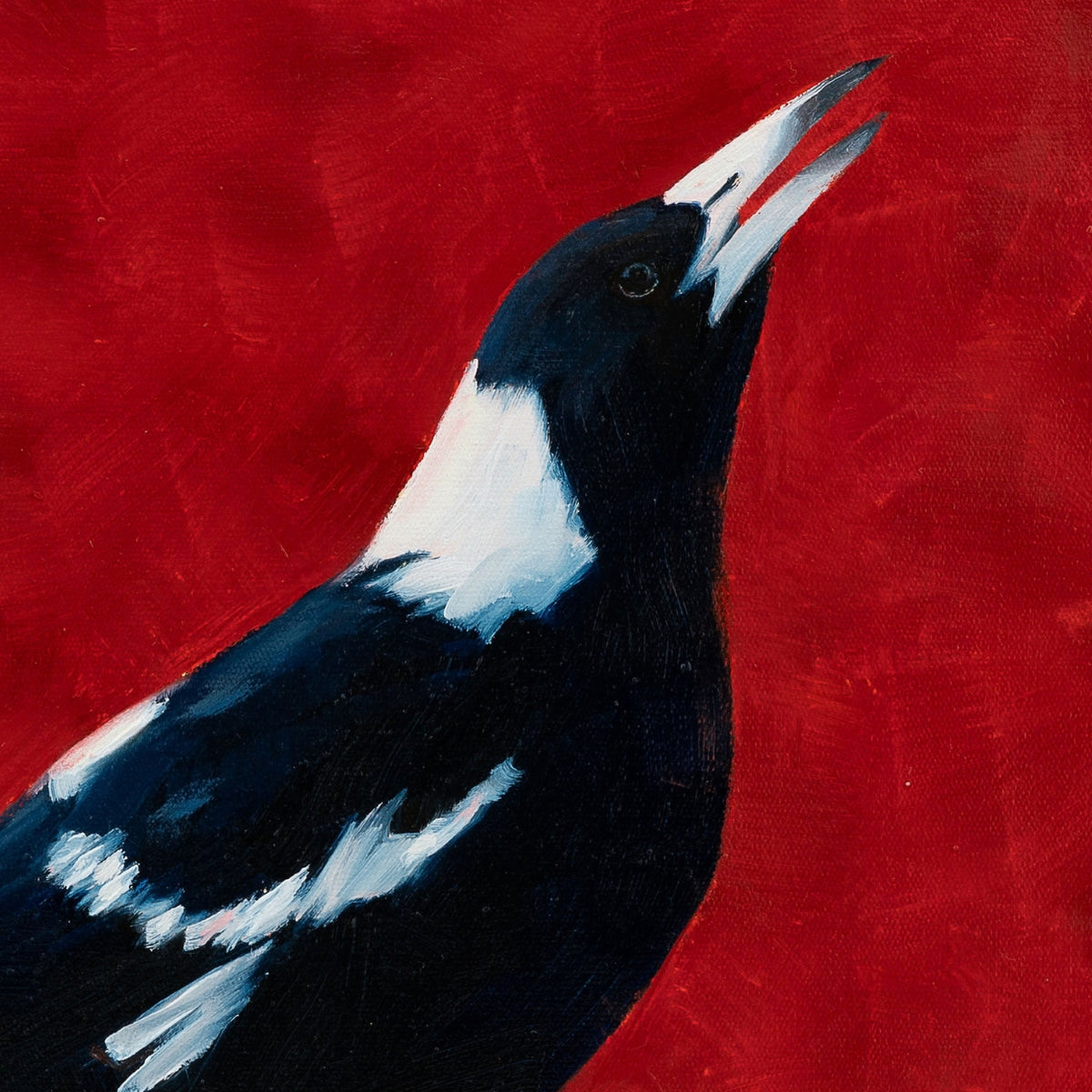 A close-up painted Australian magpie bird with a dark navy blue body, white neck and eye-ring, and white-tipped beak against a vivid red textured background.