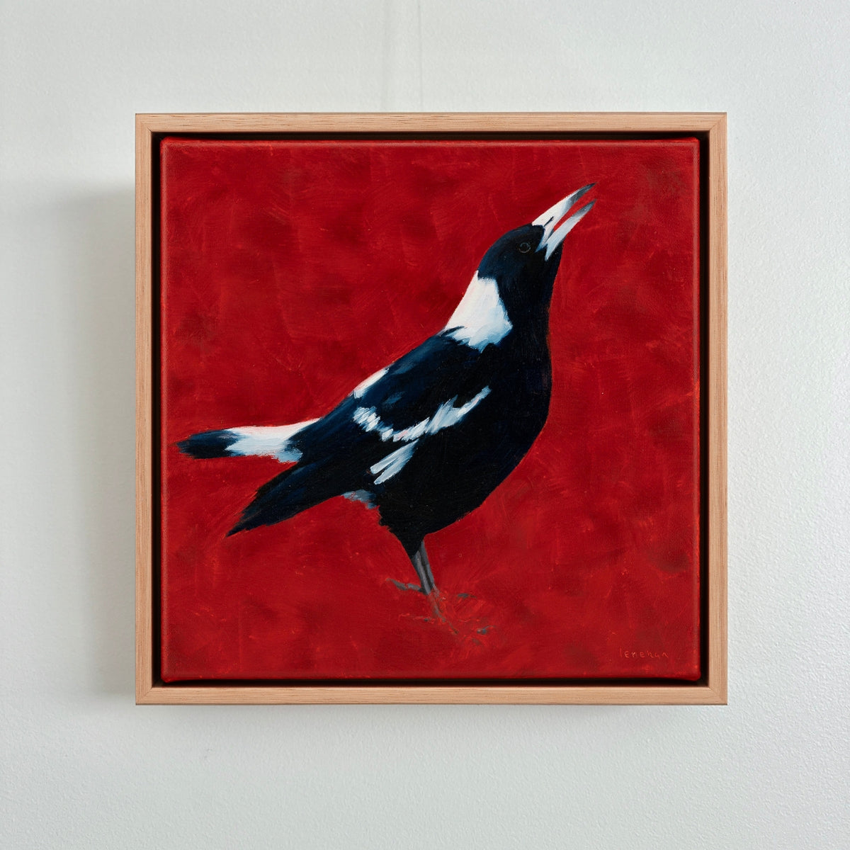 A framed painted Australian magpie bird with a dark navy blue body, white neck and eye-ring, and white-tipped beak against a vivid red textured background.