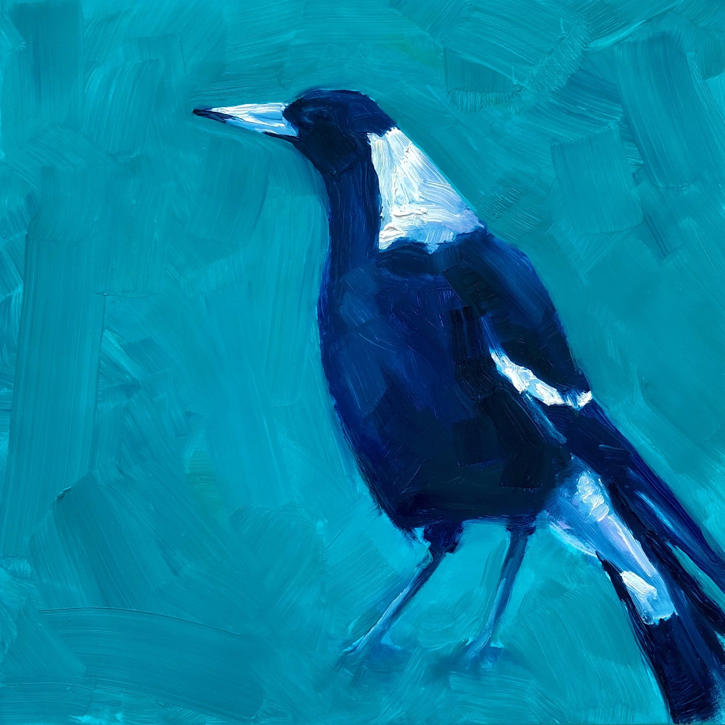 photo of an original oil painting on board of a navy blue and white magpie on a textured turquoise background