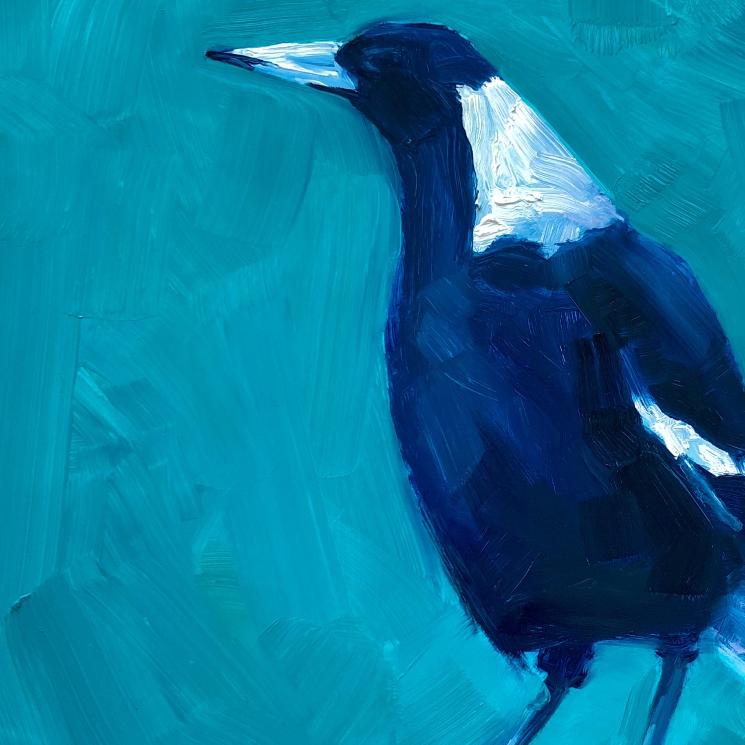 closeup photo of an original oil painting on board of a navy blue and white magpie on a textured turquoise background