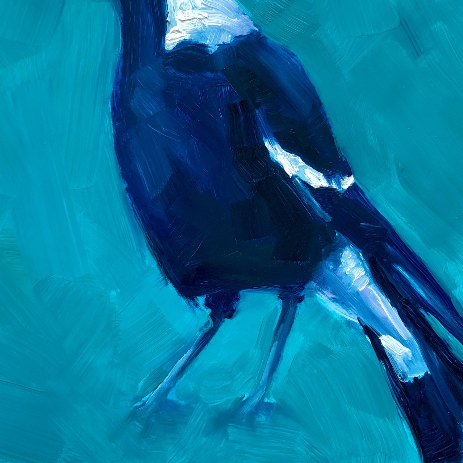 closeup photo of an original oil painting on board of a navy blue and white magpie on a textured turquoise background