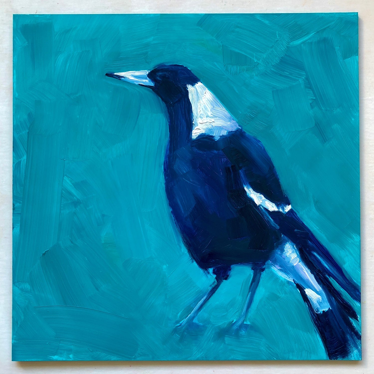 photo of an original oil painting on board of a navy blue and white magpie on a textured turquoise background