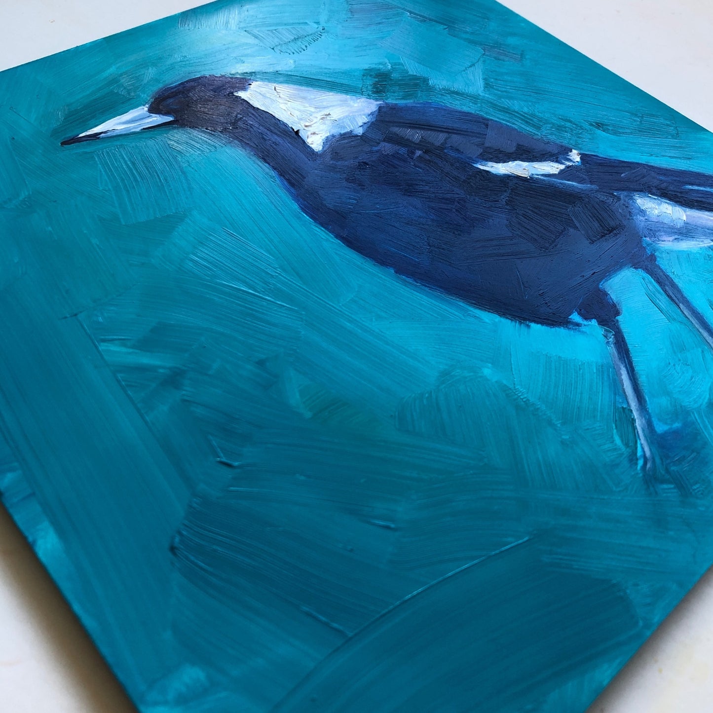 closeup photo of an original oil painting on board of a navy blue and white magpie on a textured turquoise background