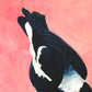 contemporary and modern original oil painting of a navy blue and white magpie on a textured warm pink background