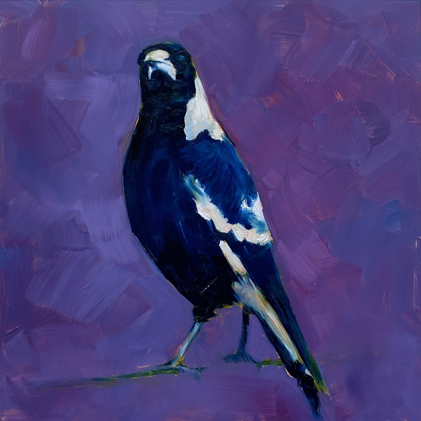 original oil painting of a navy blue and white magpie with its head tilted on a bright and textured purple with bits of blue background