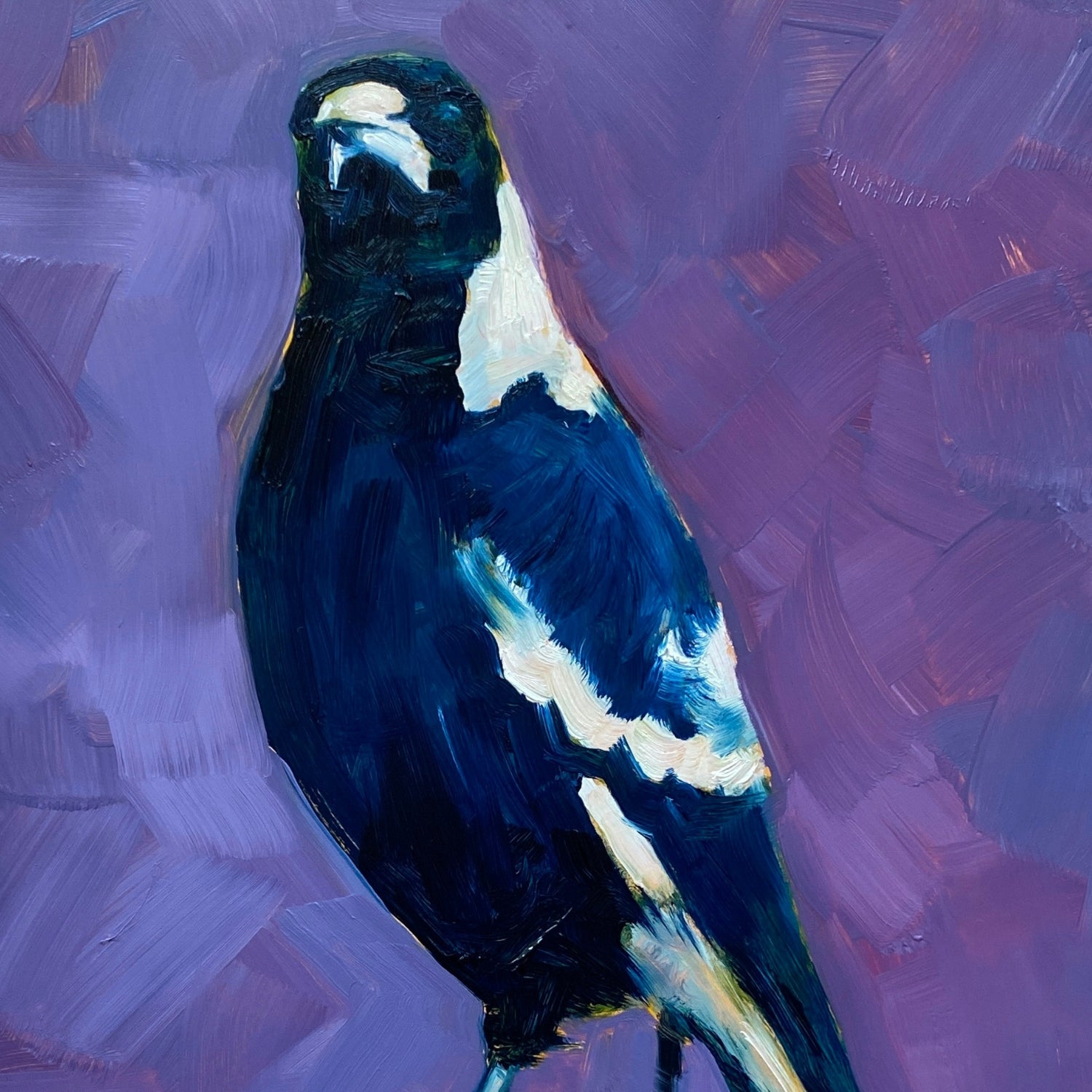 closeup of an original oil painting of a navy blue and white magpie with its head tilted on a bright and textured purple with bits of blue background