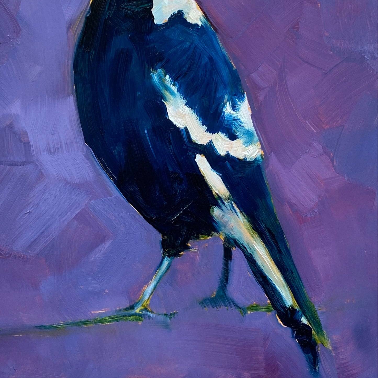 closeup of an original oil painting of a navy blue and white magpie with its head tilted on a bright and textured purple with bits of blue background