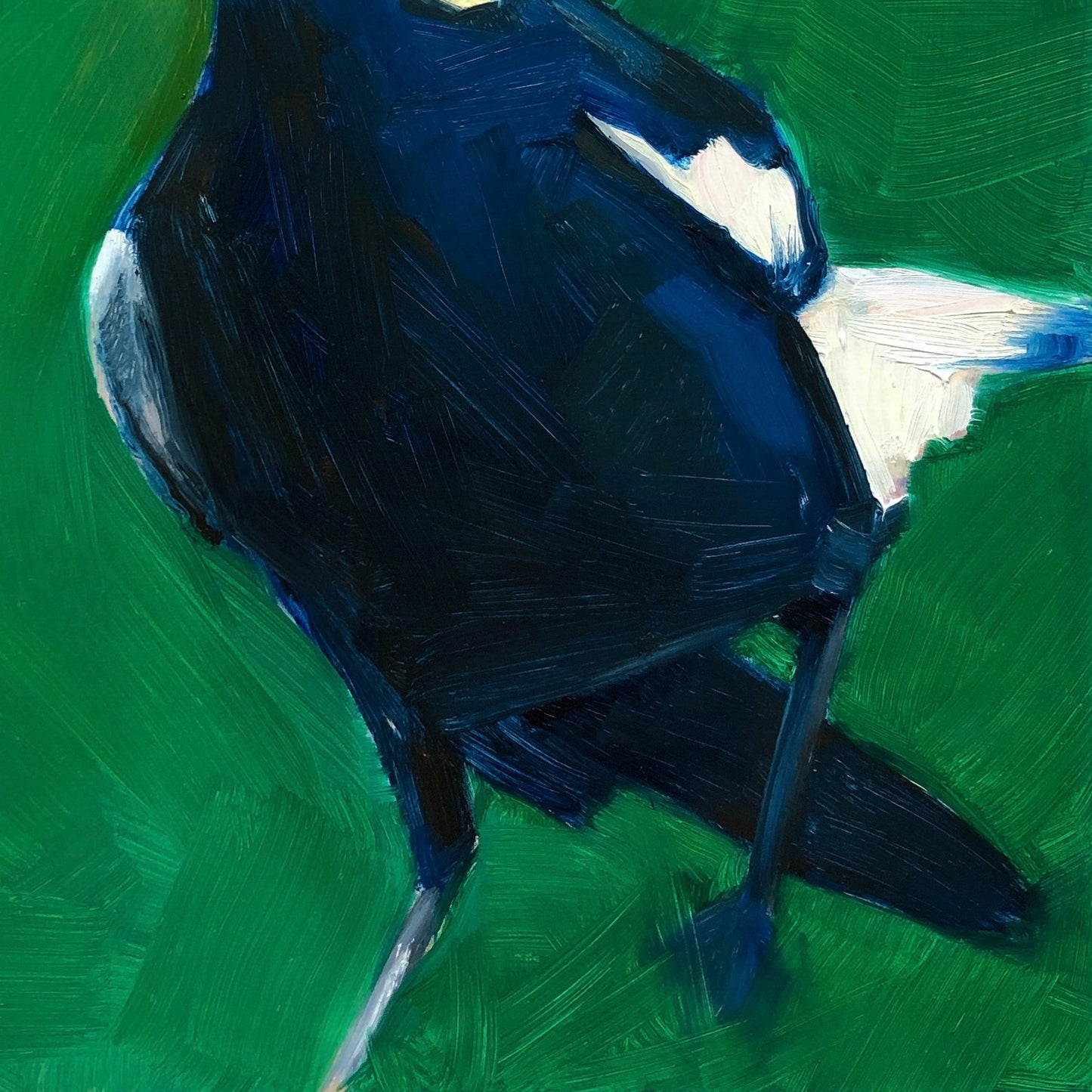 closeup of an original oil painting of a navy blue magpie on an emerald green background