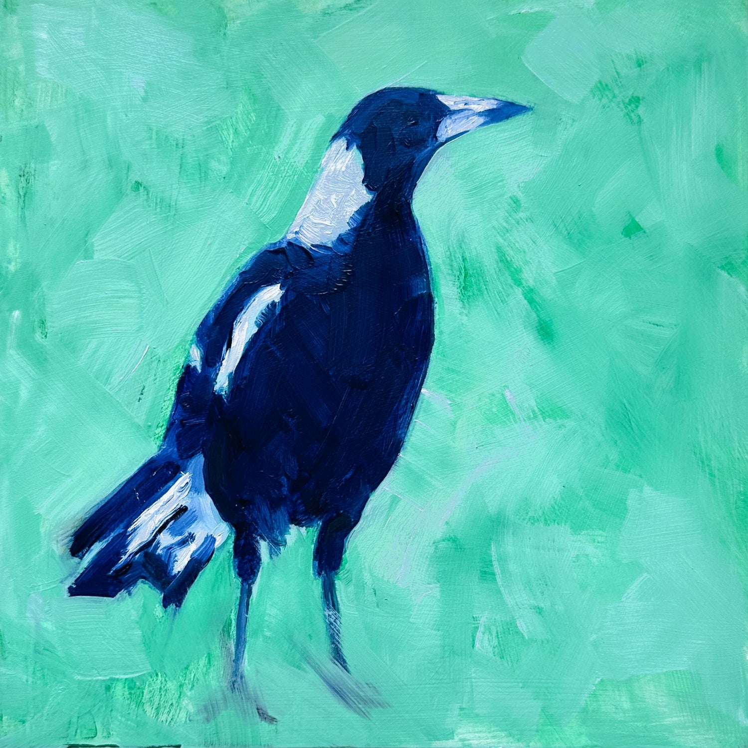 original oil painting of a navy blue and white magpie on a textured minty green background 