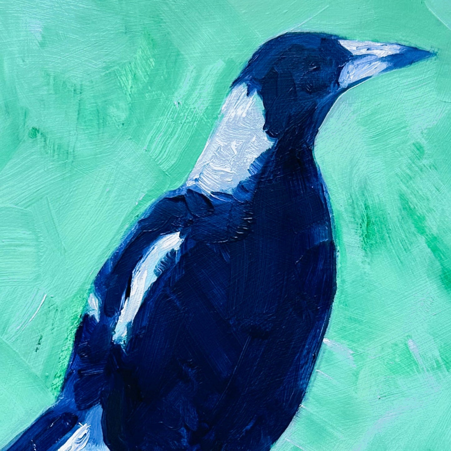 closeup of an original oil painting of a navy blue and white magpie on a textured minty green background