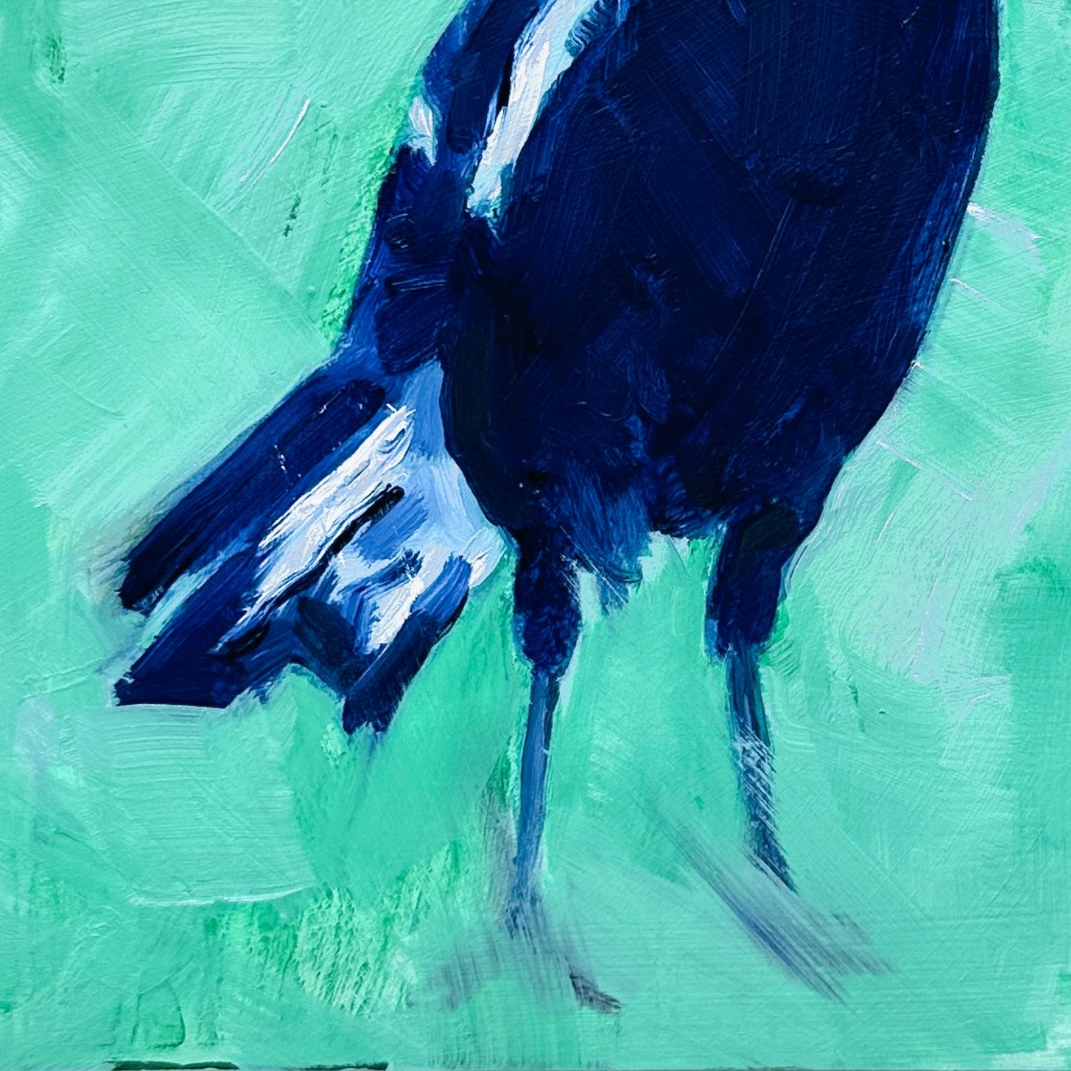 closeup of an original oil painting of a navy blue and white magpie on a textured minty green background