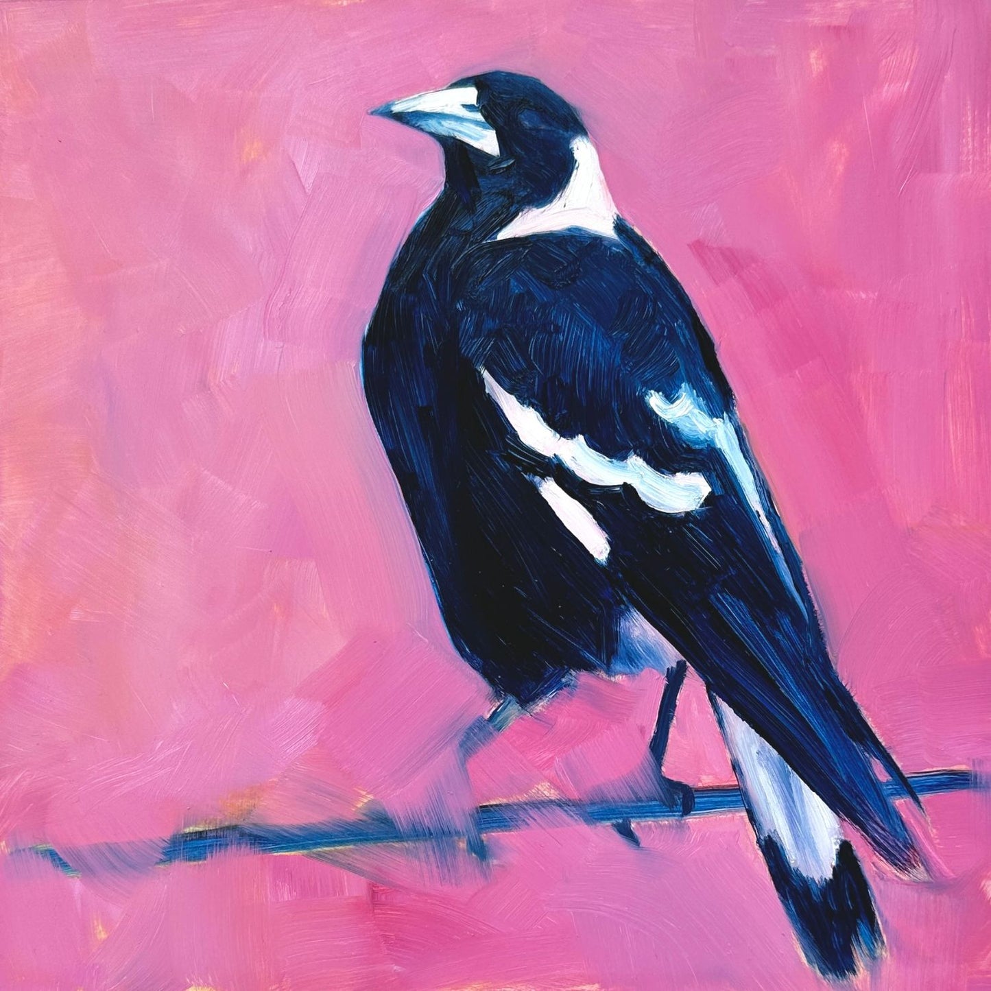 original oil painting of a navy blue and white magpie on a textured bright pink background