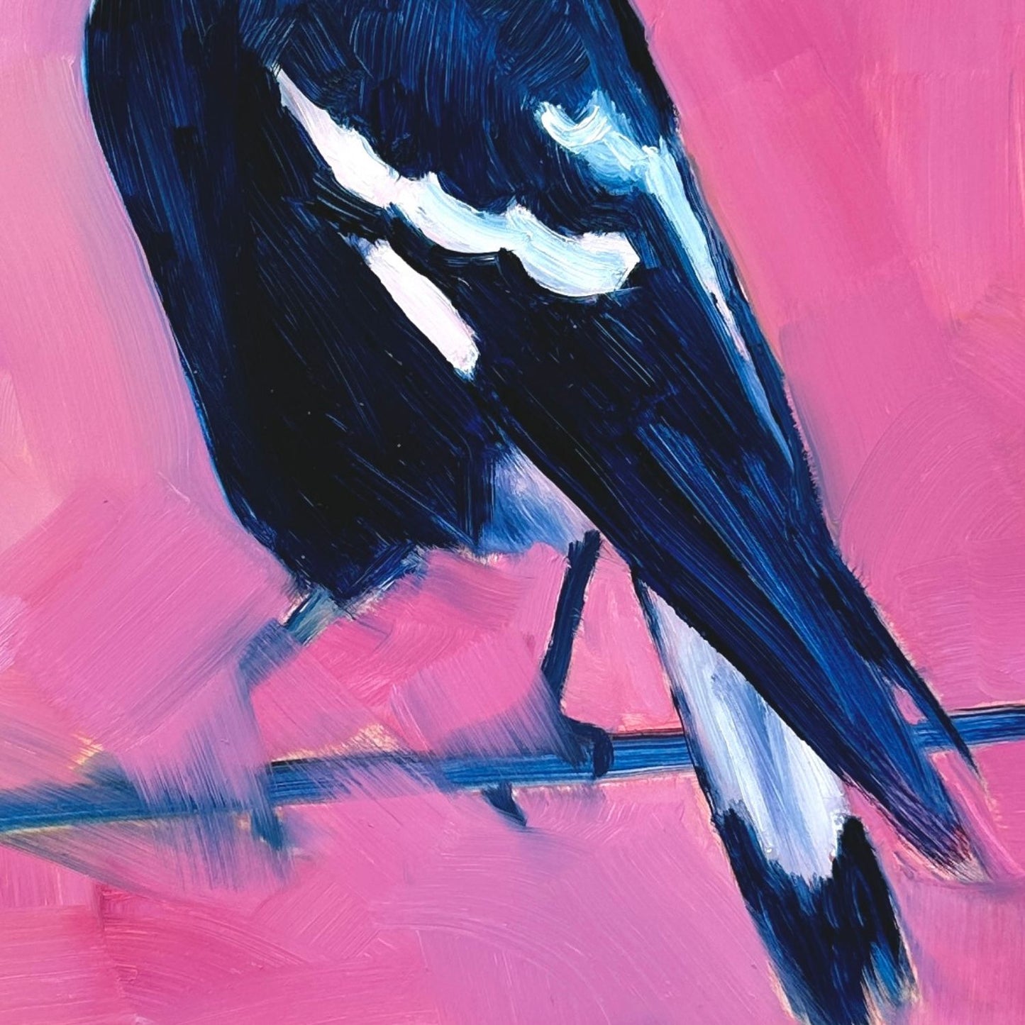 closeup of an original oil painting of a navy blue and white magpie on a textured bright pink background