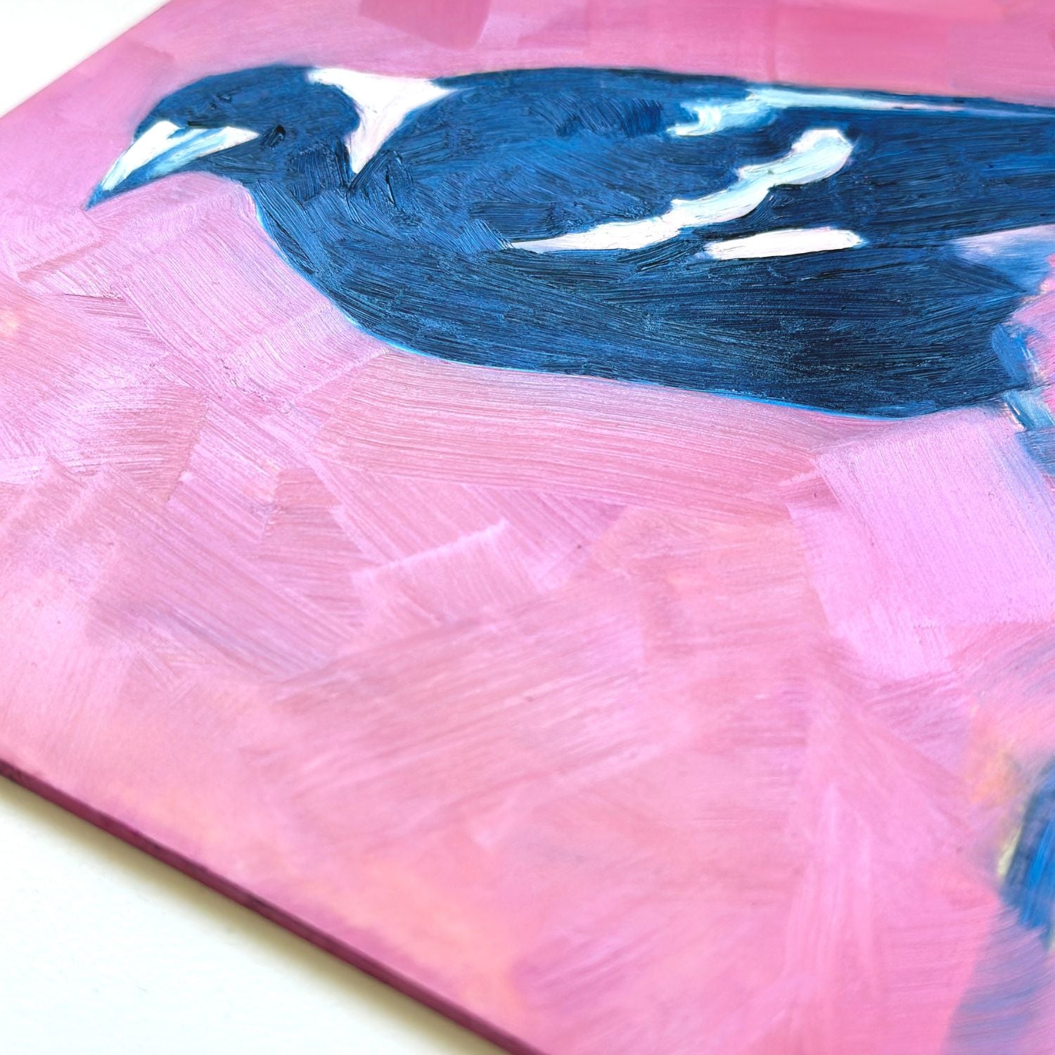 closeup of an original oil painting of a navy blue and white magpie on a textured bright pink background