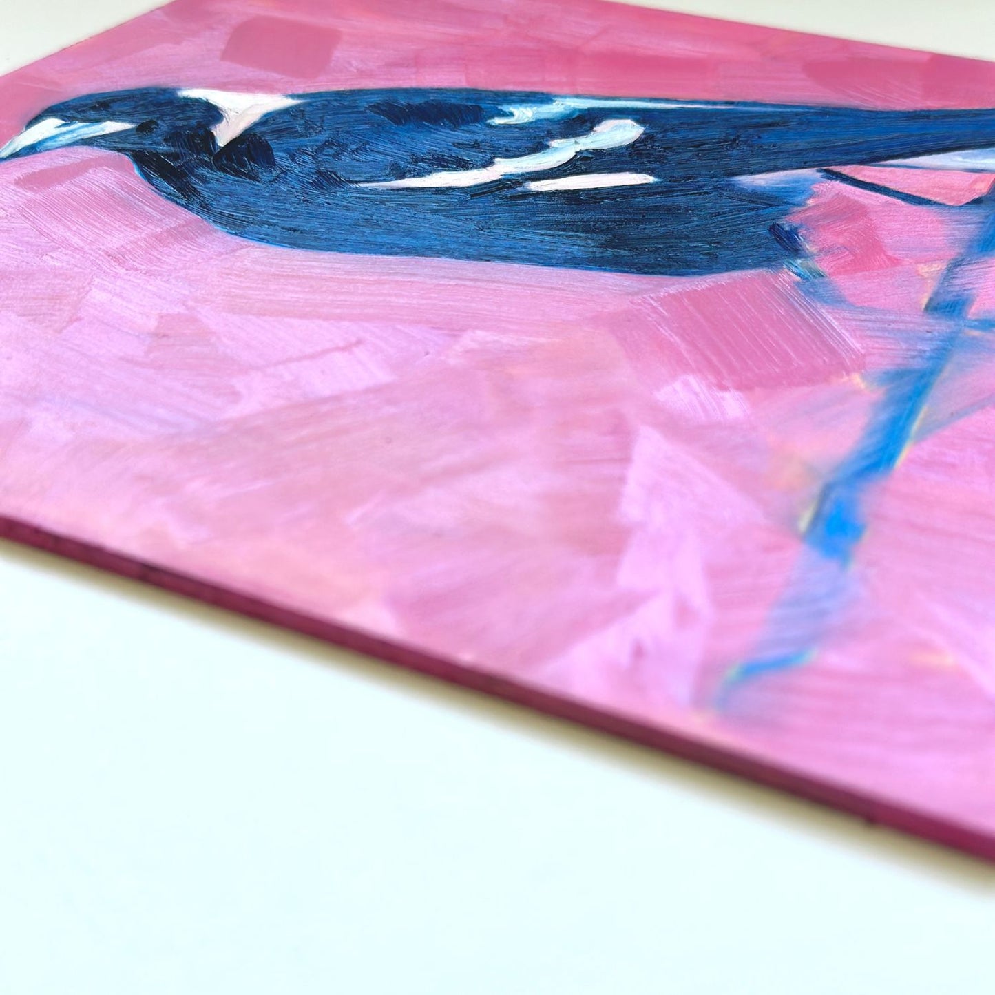 closeup of an original oil painting of a navy blue and white magpie on a textured bright pink background