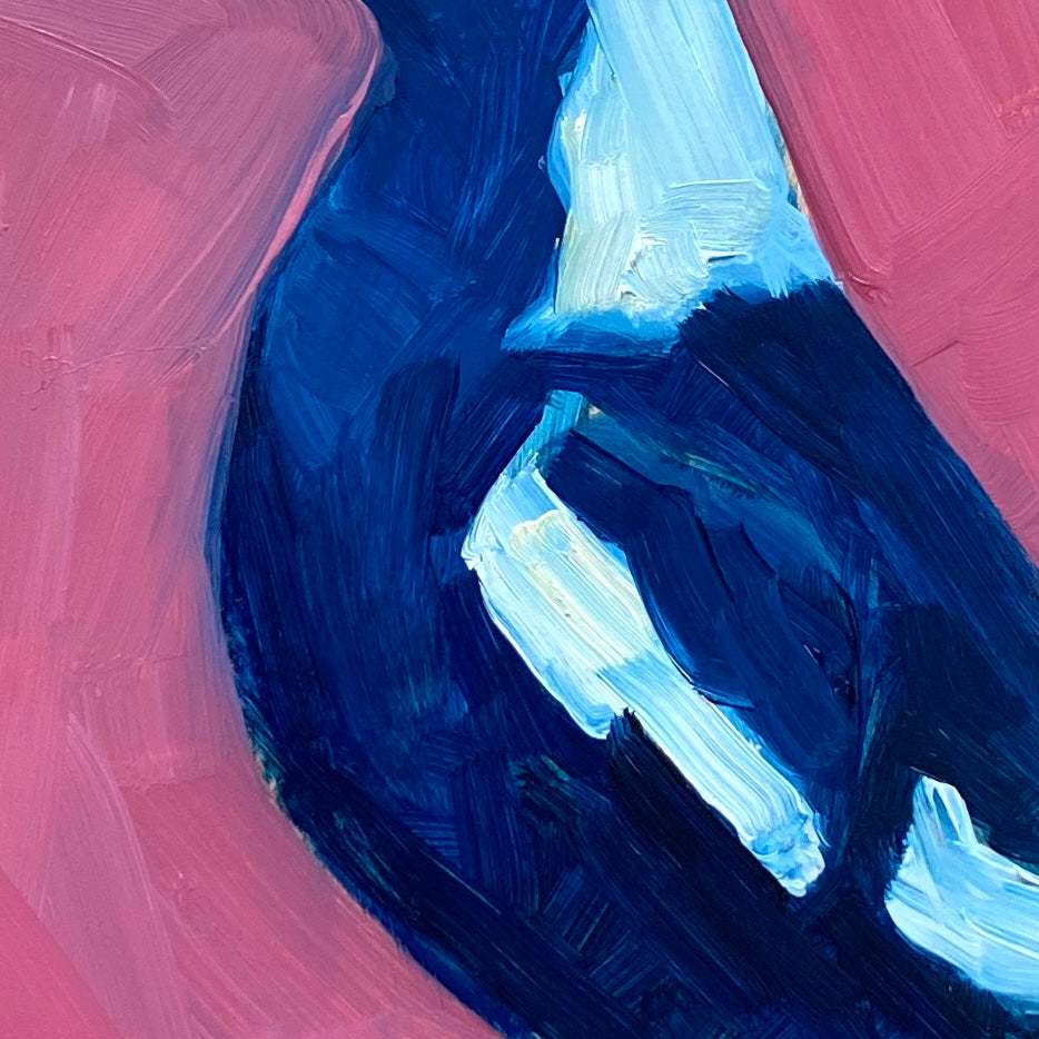 closeup of an oil painting on panel of a magpie in navy blue and white on a bright pink background