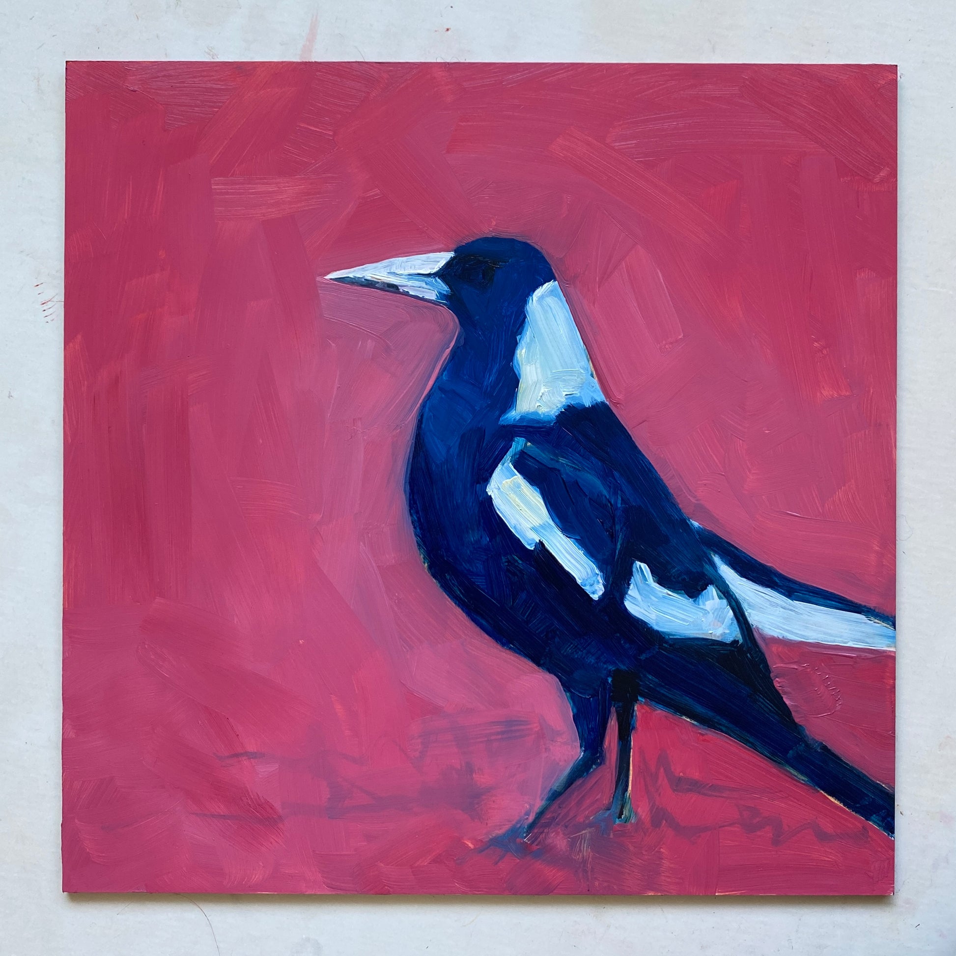 oil painting on panel of a magpie in navy blue and white on a bright pink background