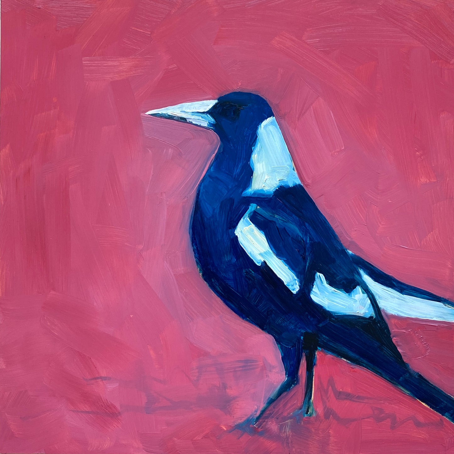 oil painting on panel of a magpie in navy blue and white on a bright pink background