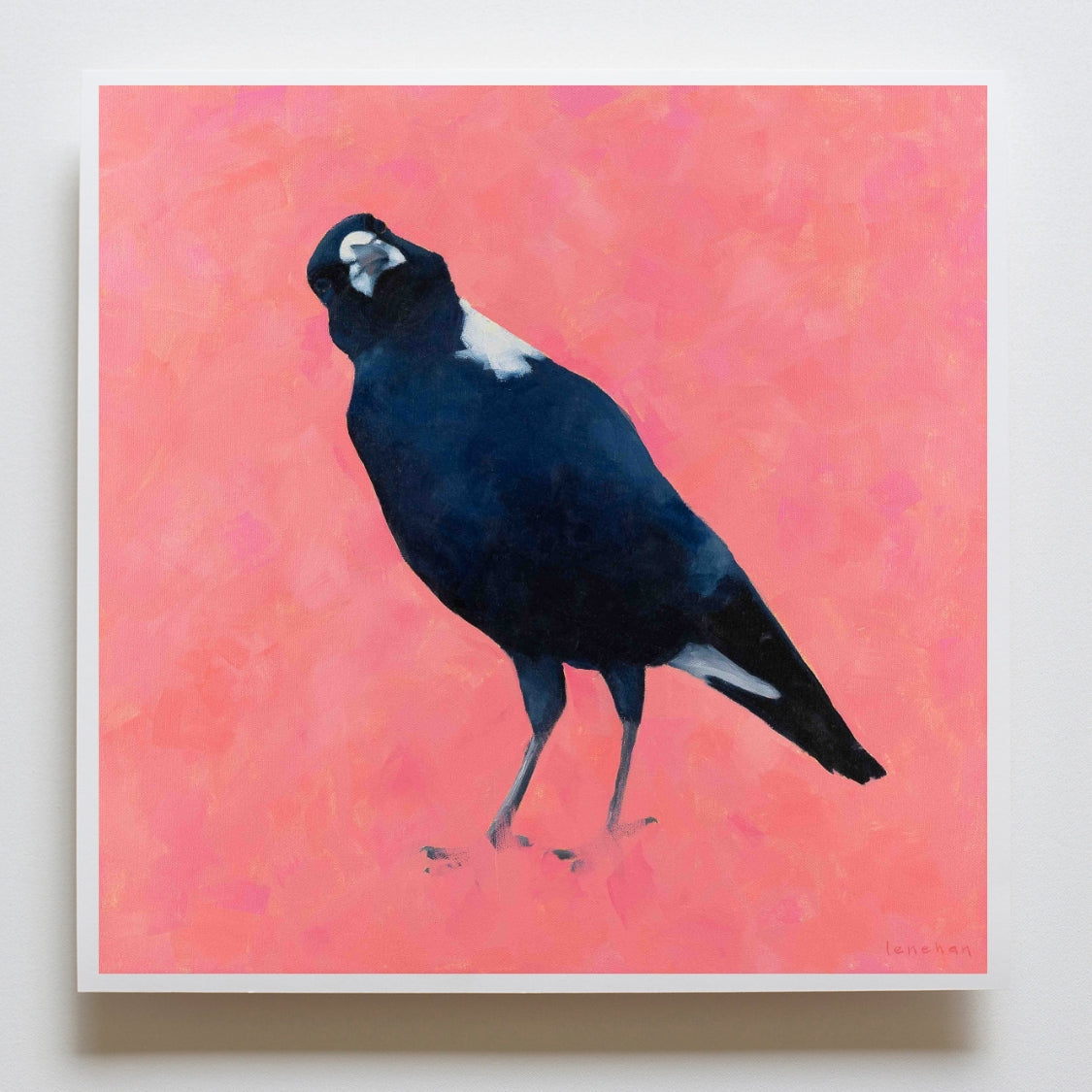 fine art acid free paper print on archival paper of a magpie with a textured pink background