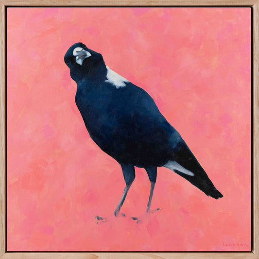 fine art canvas print of an australian magpie on a textured pink background