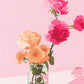 Roses on Pink Lavender Paper Print