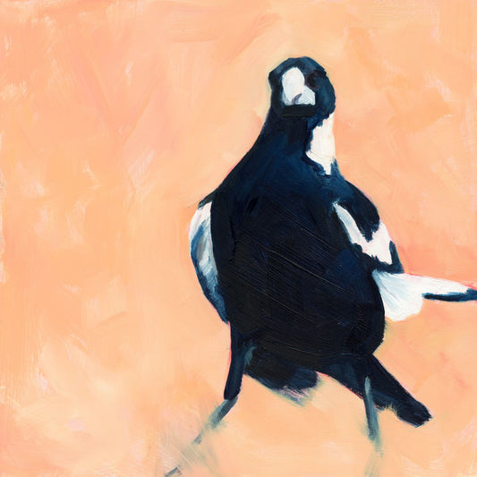 modern and contemporary oil painting of a navy blue and white magpie on a texture soft peachy background
