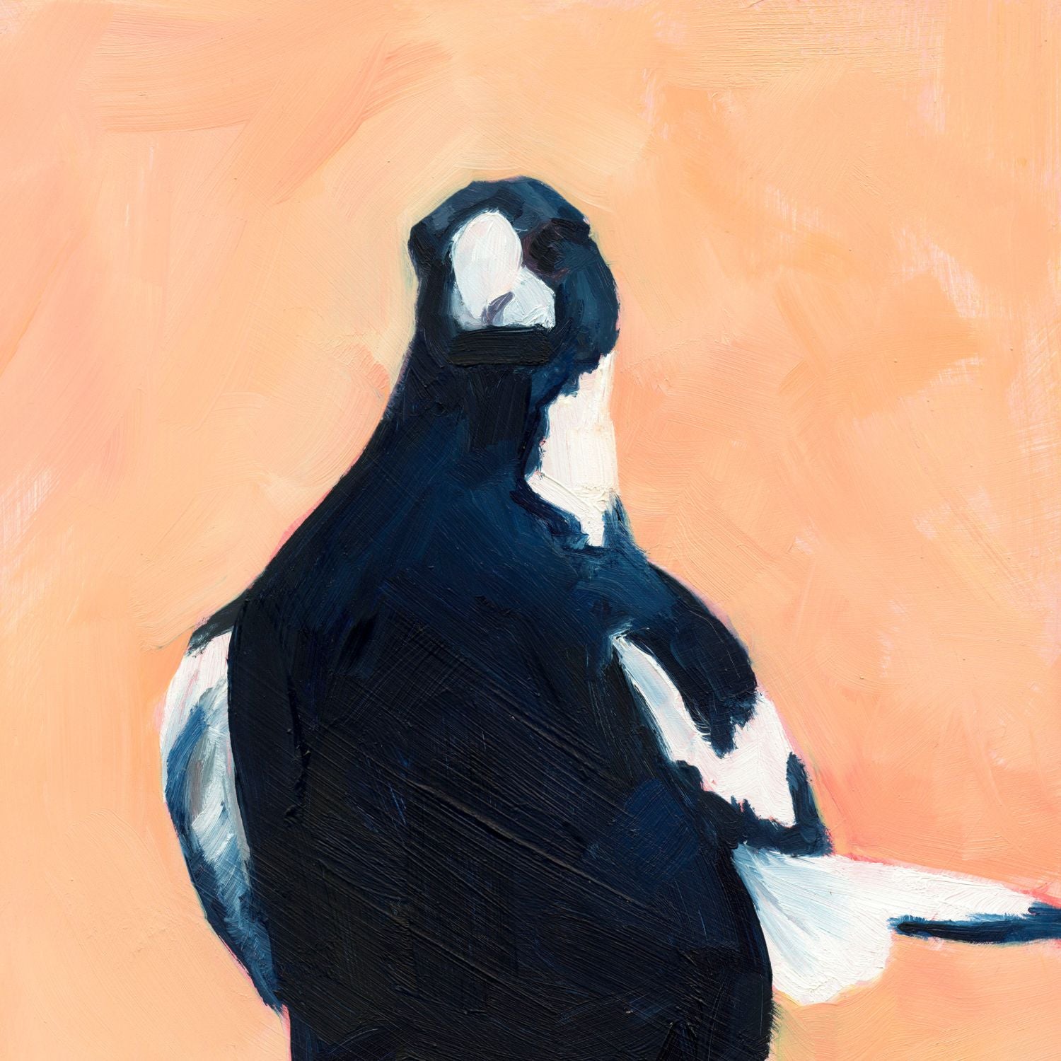 modern and contemporary oil painting of a navy blue and white magpie on a texture soft peachy background