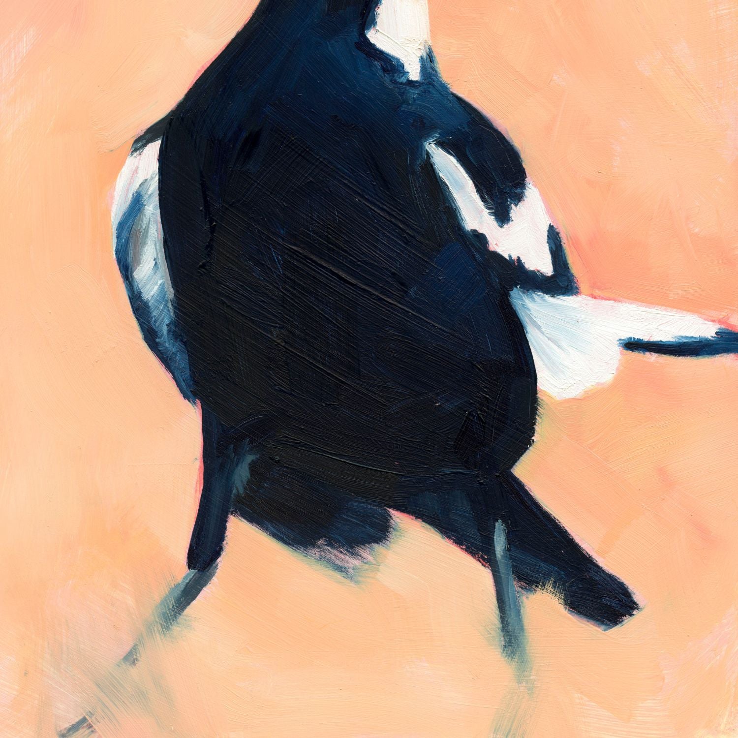 modern and contemporary oil painting of a navy blue and white magpie on a texture soft peachy background