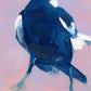 closeup of a fine art print of an original oil painting of a navy blue and white magpie with a soft lilac textured background