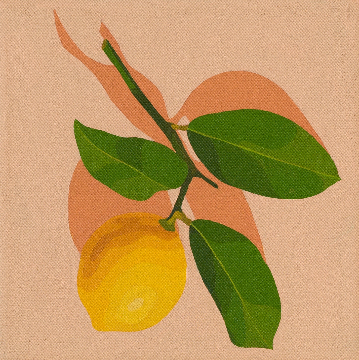 original oil painting of a lemon with stem and leaves sitting on a background of colour vanilla cream with light coral shadow