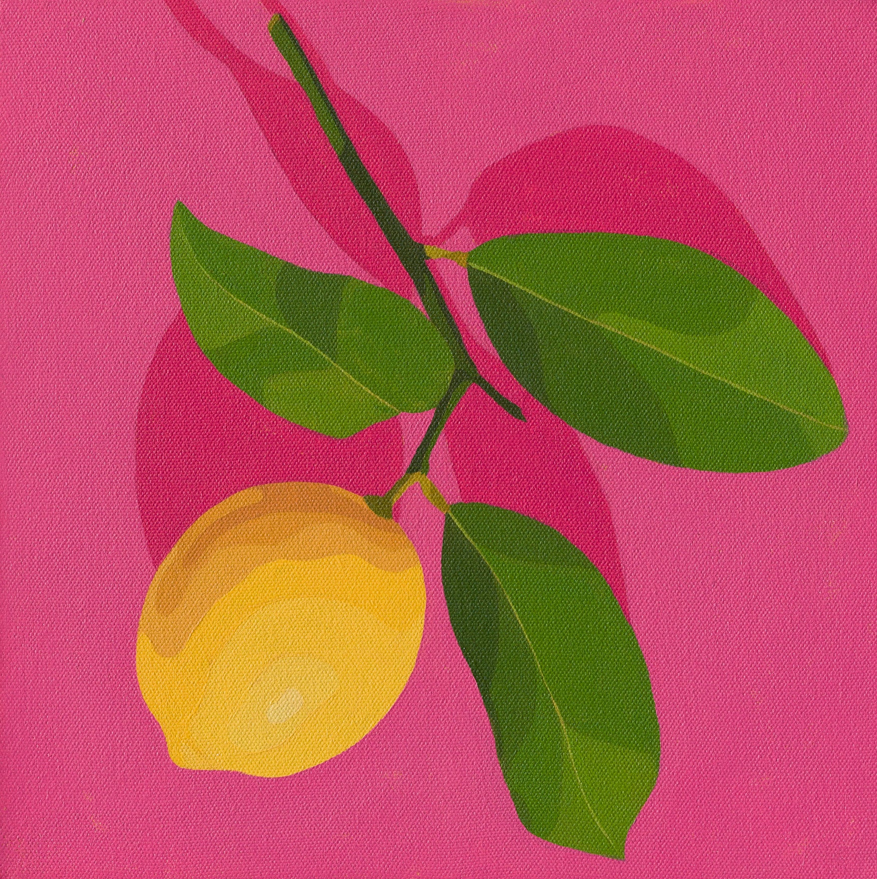 Whimsy Lemon on Pink_2