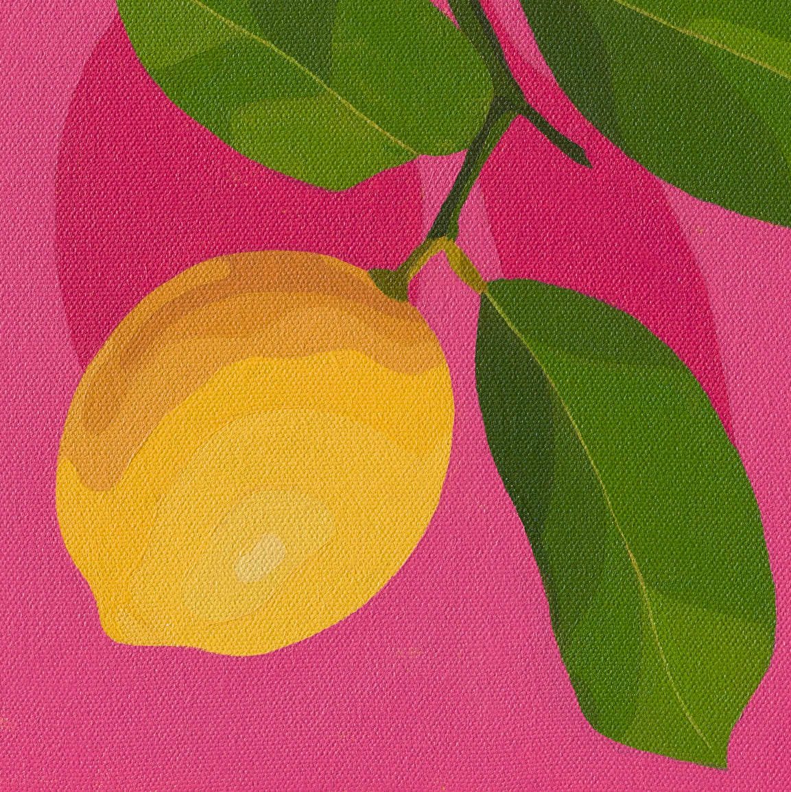 Whimsy Lemon on Pink_3