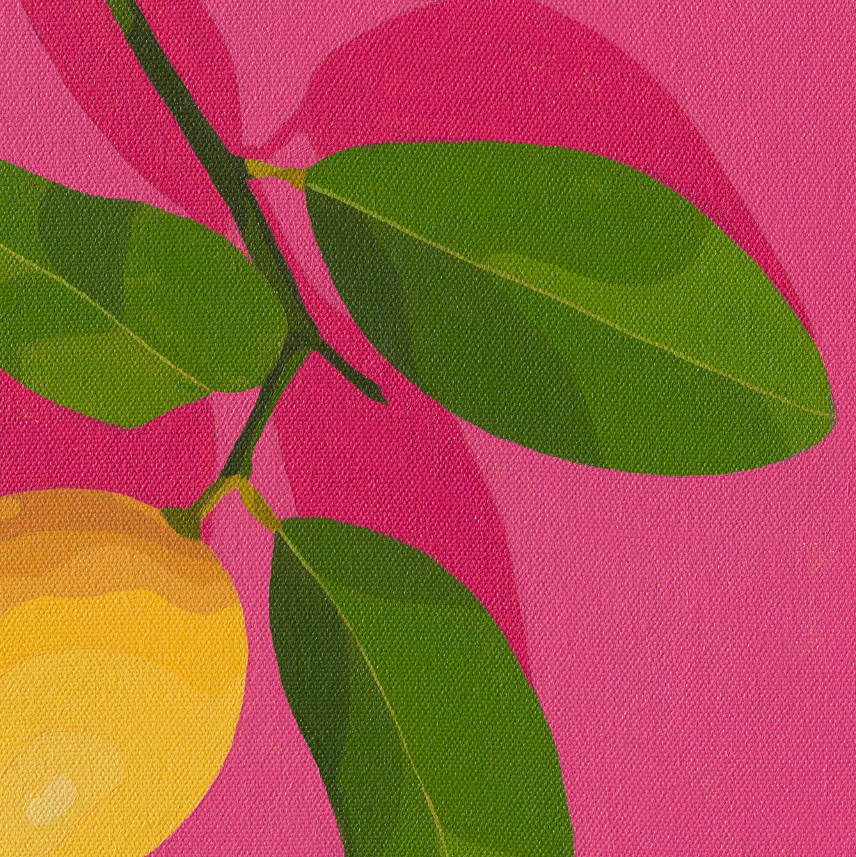 Whimsy Lemon on Pink_4