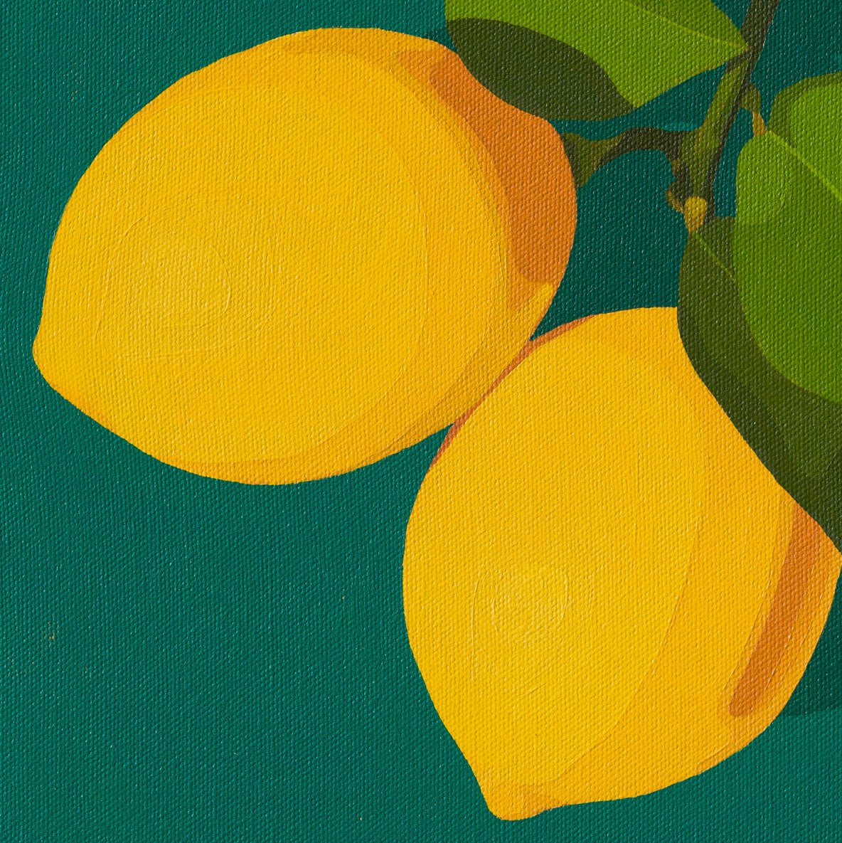 Whimsy Lemons on Teal_3